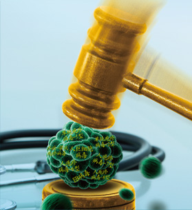 ������ˎ��